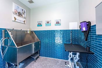 Indoor pet washing station